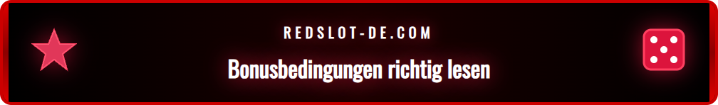 Ein Spieler studiert die Umsatzbedingungen für einen Casino Bonus auf einem Bildschirm.