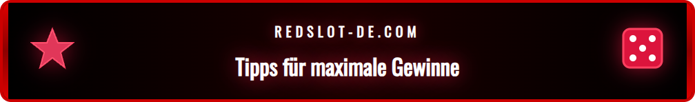 Infografik mit den besten Tipps zur Maximierung von Boni mit Codes.