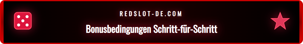 Detailansicht der Bonus-AGB mit Hervorhebung der Umsatzregeln.