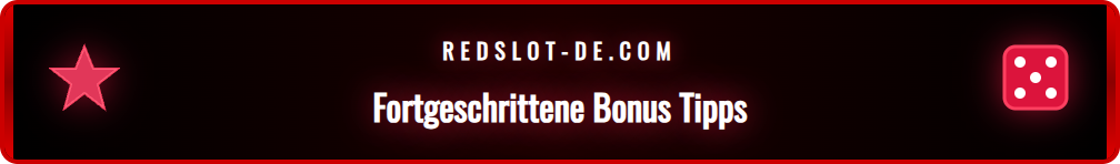 Infografik mit Tipps und Tricks zur Maximierung des Rabattbonus.